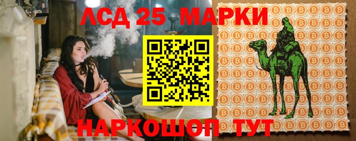 дарнет шоп  Вход с VPN  Марки 25I-NBOMe 1,5мг  Серов  Марки 25I-NBOMe 1,5мг  Марки 25I-NBOMe 