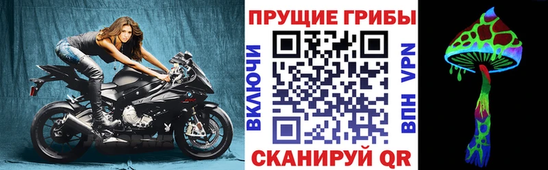 Галлюциногенные грибы мицелий  наркота  Серов 